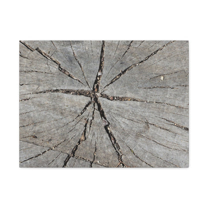 Cracked Chronicle - Unique Frameless Canvas Wall Art - Art By Earth