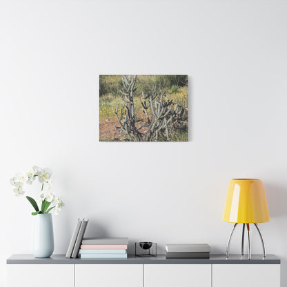 Desert Bloom in Shadow - Unique Frameless Canvas Wall Art - Art By Earth