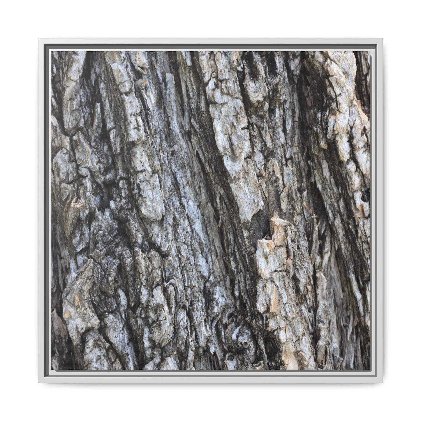 Twisted Textures - Unique Stretched Canvas Wall Art - Art By Earth