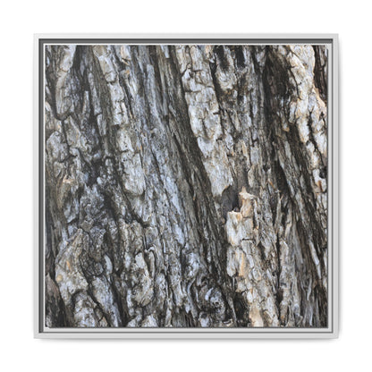 Twisted Textures - Unique Stretched Canvas Wall Art - Art By Earth