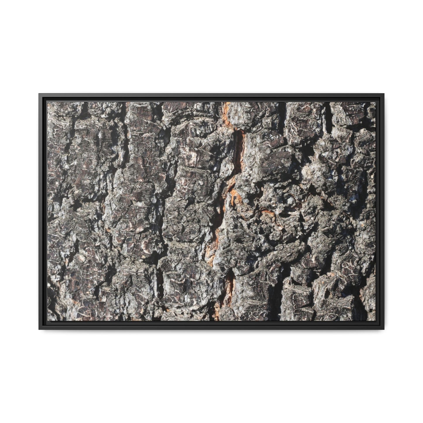 Aged Beauty - Unique Stretched Canvas Wall Art - Art By Earth