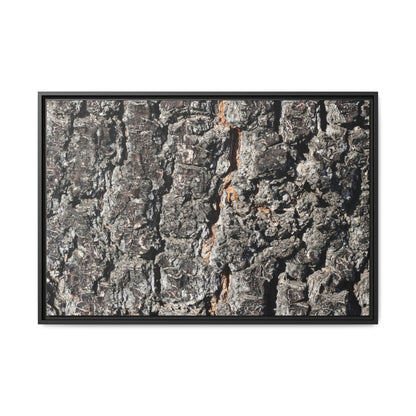 Aged Beauty - Unique Stretched Canvas Wall Art - Art By Earth