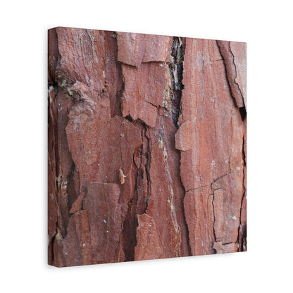 Crimson Fissures - Unique Frameless Canvas Wall Art - Art By Earth