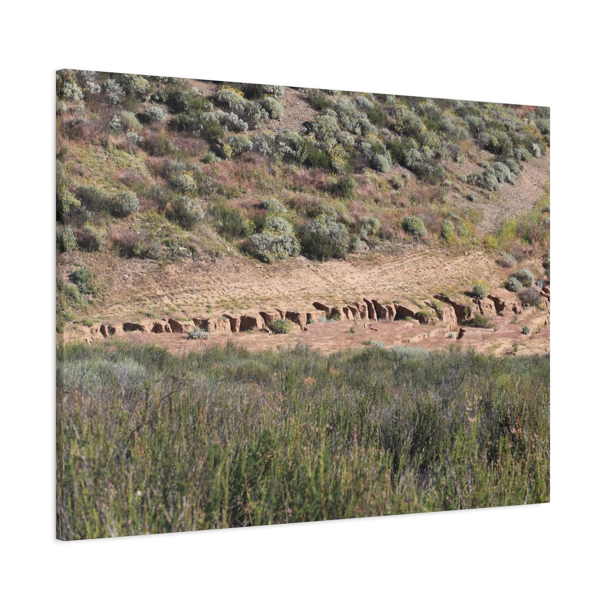 Ancient Dwellings in the Desert Valley - Unique Frameless Canvas Wall Art - Art By Earth