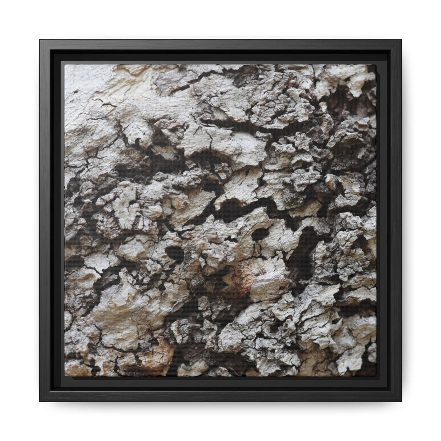 Cracked Terrain - Unique Stretched Canvas Wall Art - Art By Earth