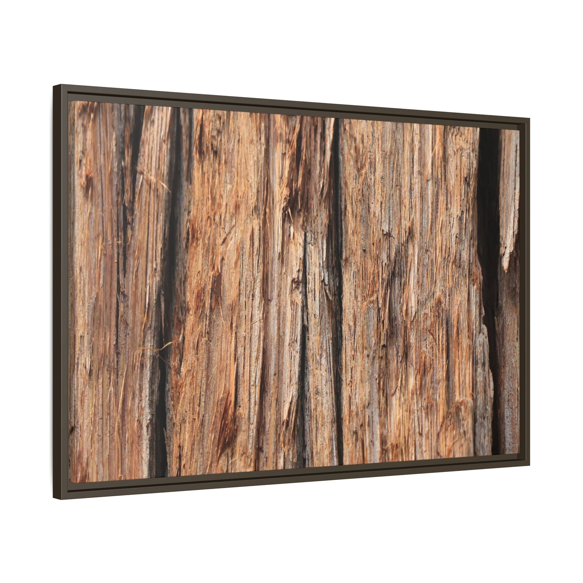 Timber Echoes - Unique Stretched Canvas Wall Art - Art By Earth