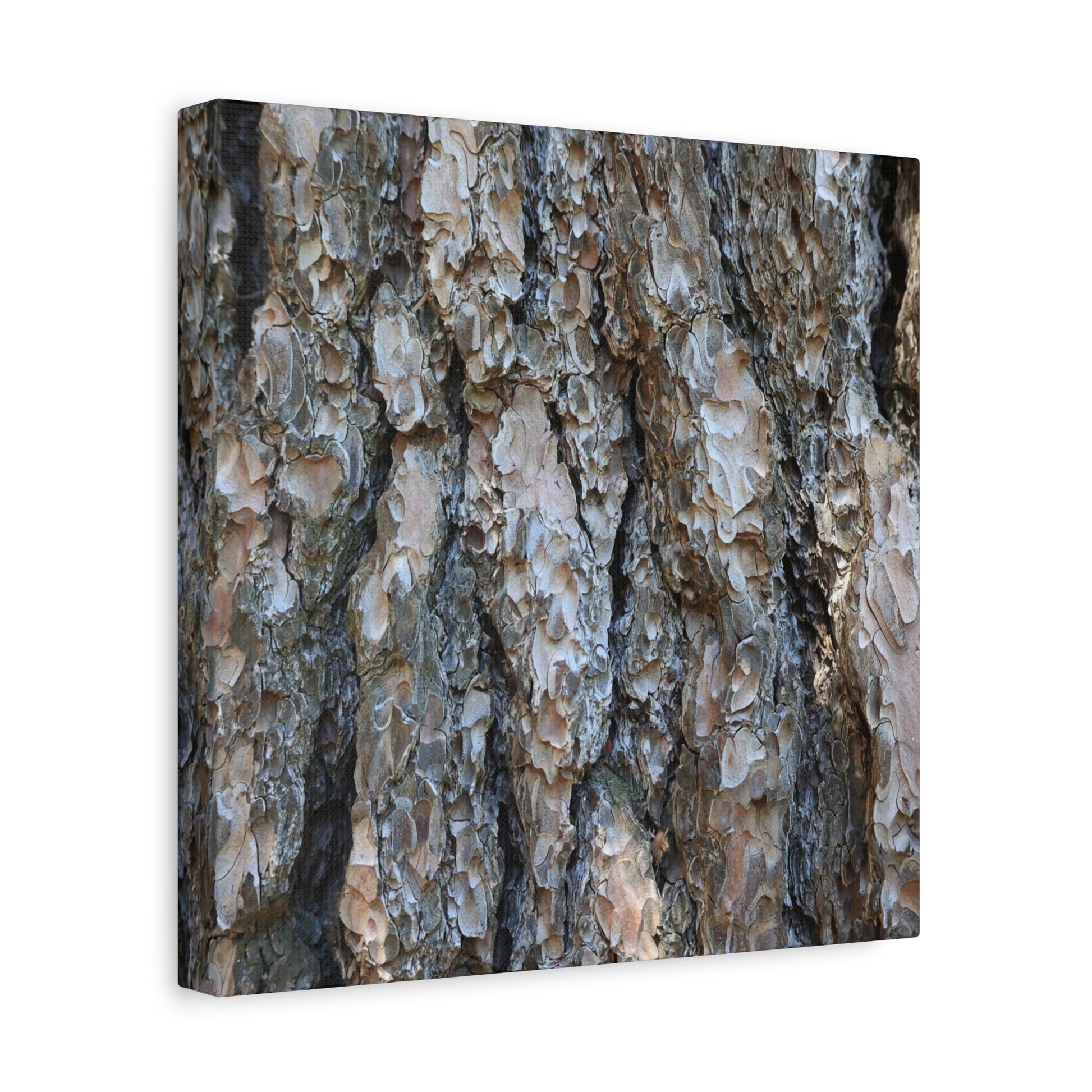 Elemental Tapestry - Unique Frameless Canvas Wall Art - Art By Earth