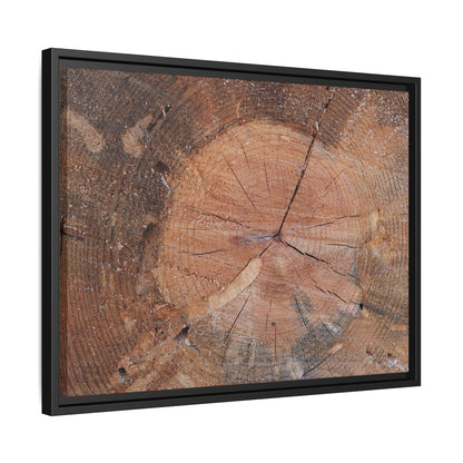 Concentric Memories - Unique Stretched Canvas Wall Art - Art By Earth