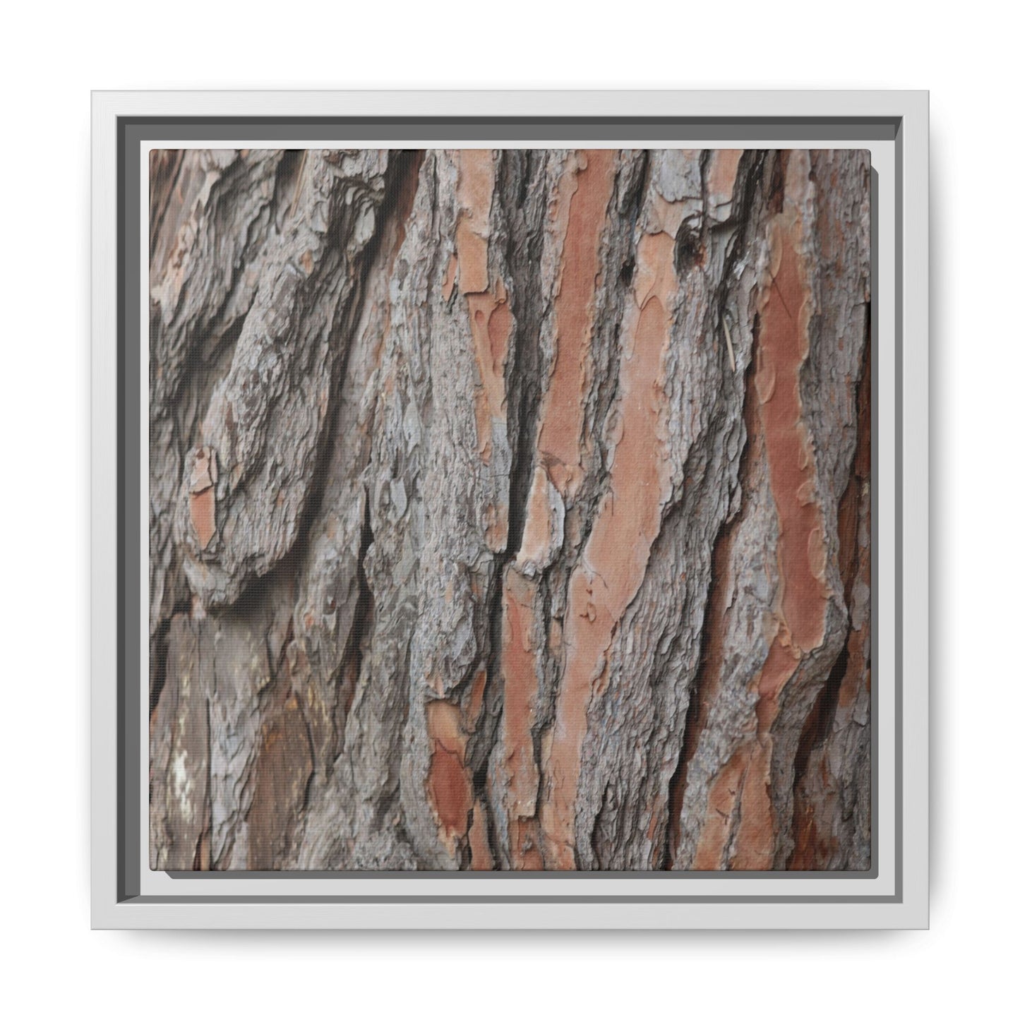 Woodland Layers - Unique Stretched Canvas Wall Art - Art By Earth