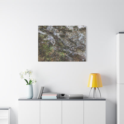 Moss Tapestry - Unique Frameless Canvas Wall Art - Art By Earth