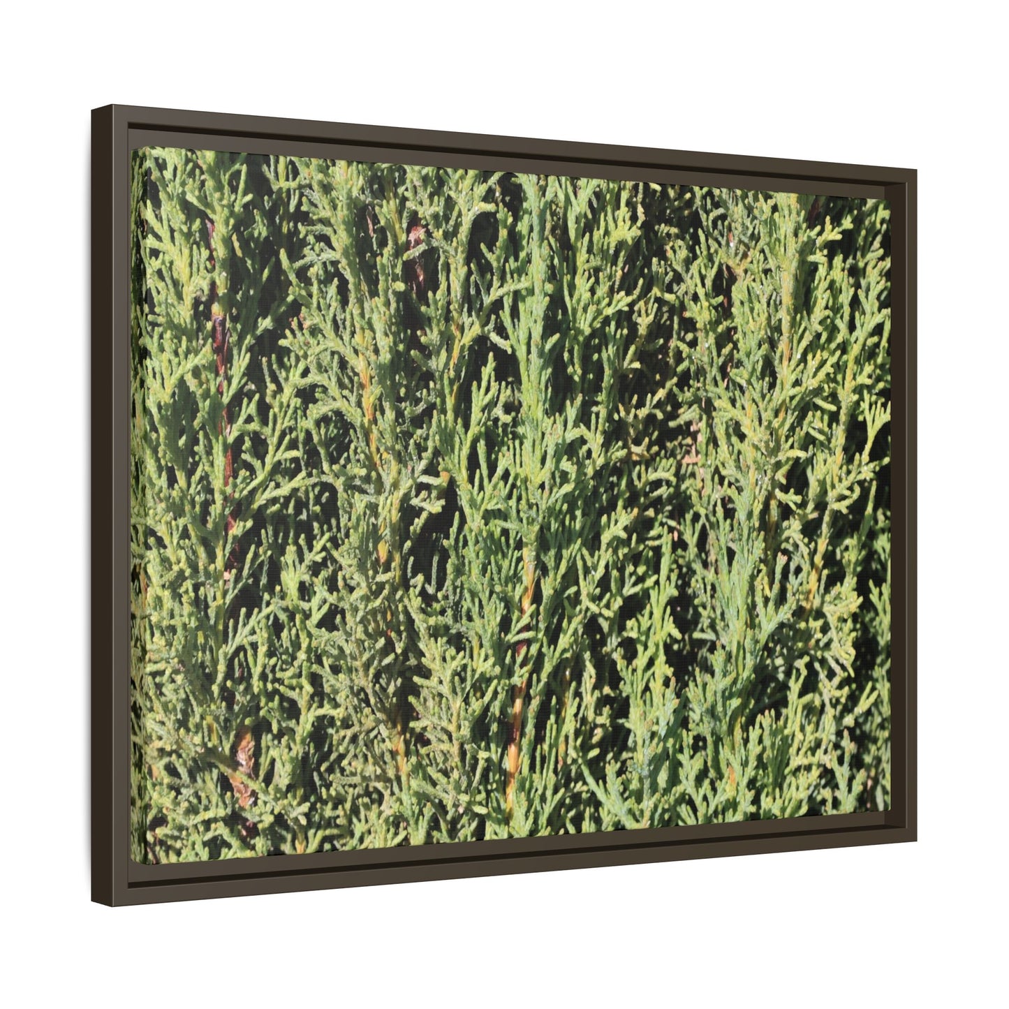 Emerald Labyrinth - Unique Stretched Canvas Wall Art - Art By Earth