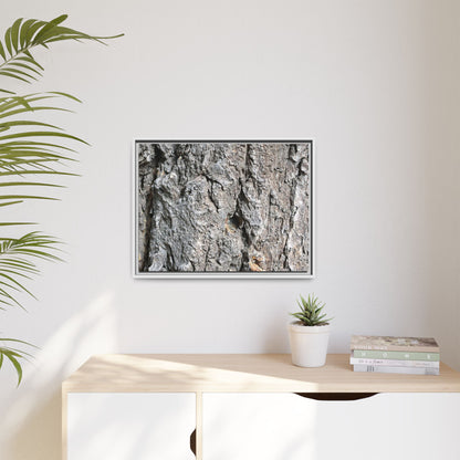 Crusty Exterior - Unique Stretched Canvas Wall Art - Art By Earth