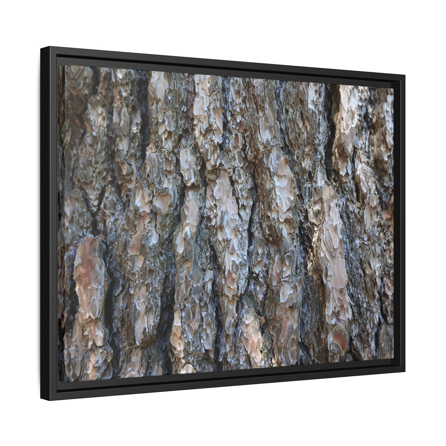 Bark Whispers - Unique Stretched Canvas Wall Art - Art By Earth