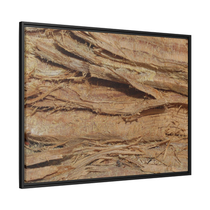 Splintered Bark - Unique Stretched Canvas Wall Art - Art By Earth