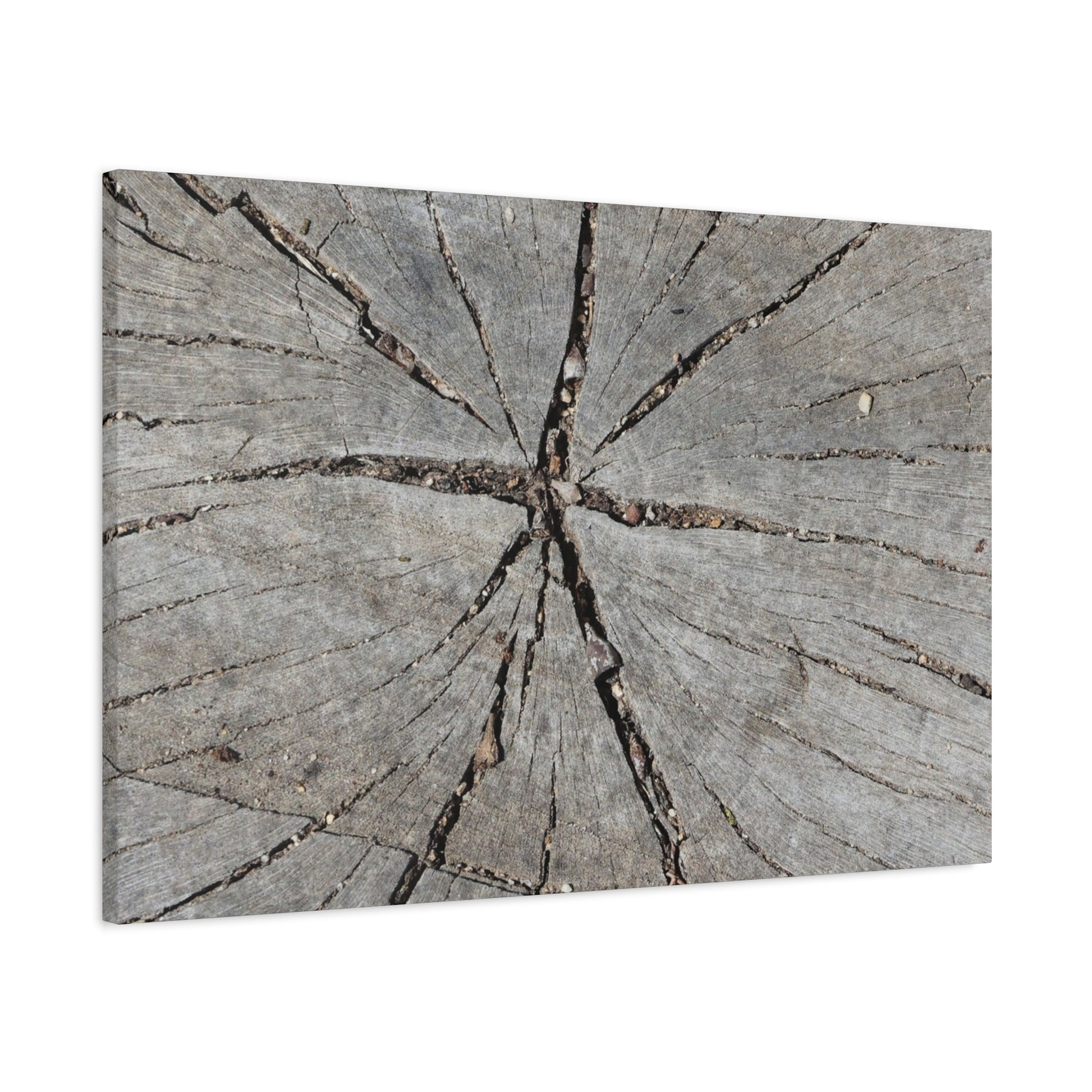 Cracked Chronicle - Unique Frameless Canvas Wall Art - Art By Earth