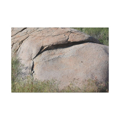 Granite Boulder in Desert Scrub - Unique Frameless Canvas Wall Art - Art By Earth