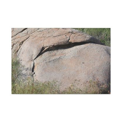 Granite Boulder in Desert Scrub - Unique Frameless Canvas Wall Art - Art By Earth