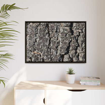 Bark Study in Gray - Unique Stretched Canvas Wall Art - Art By Earth