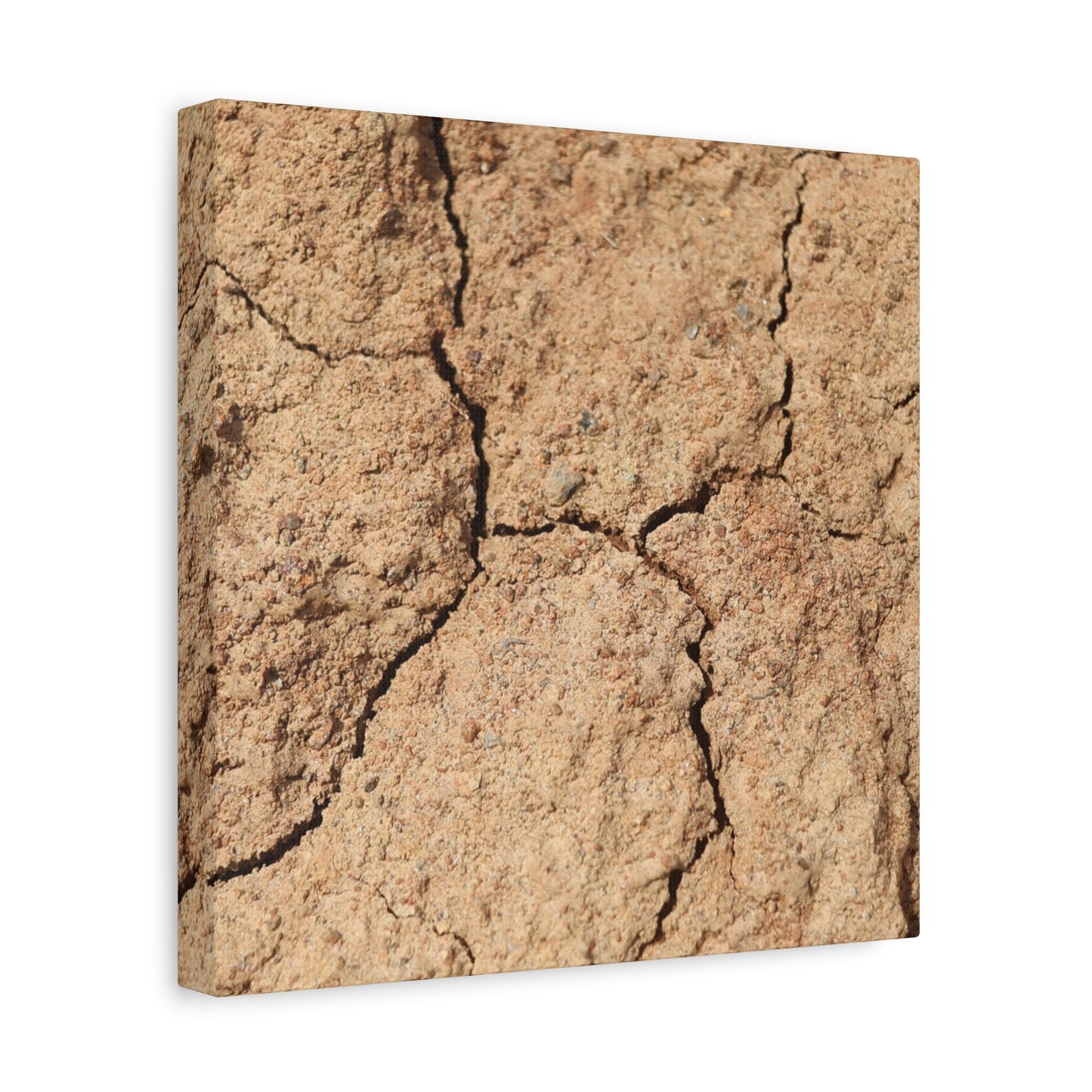 Cracked Earth's Lament - Unique Frameless Canvas Wall Art - Art By Earth