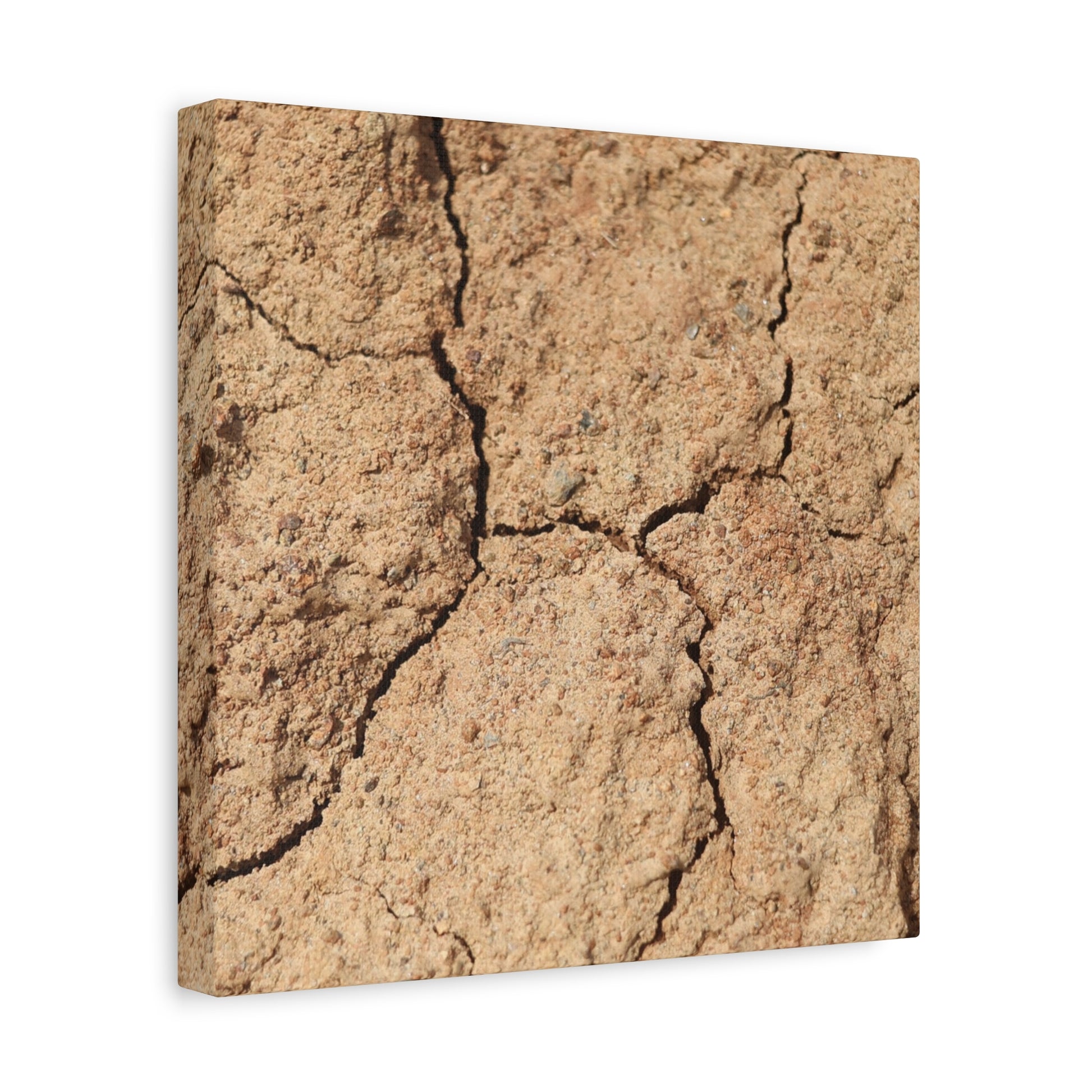 Cracked Earth's Lament - Unique Frameless Canvas Wall Art - Art By Earth