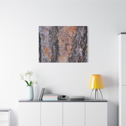 Terracotta Textures - Unique Frameless Canvas Wall Art - Art By Earth