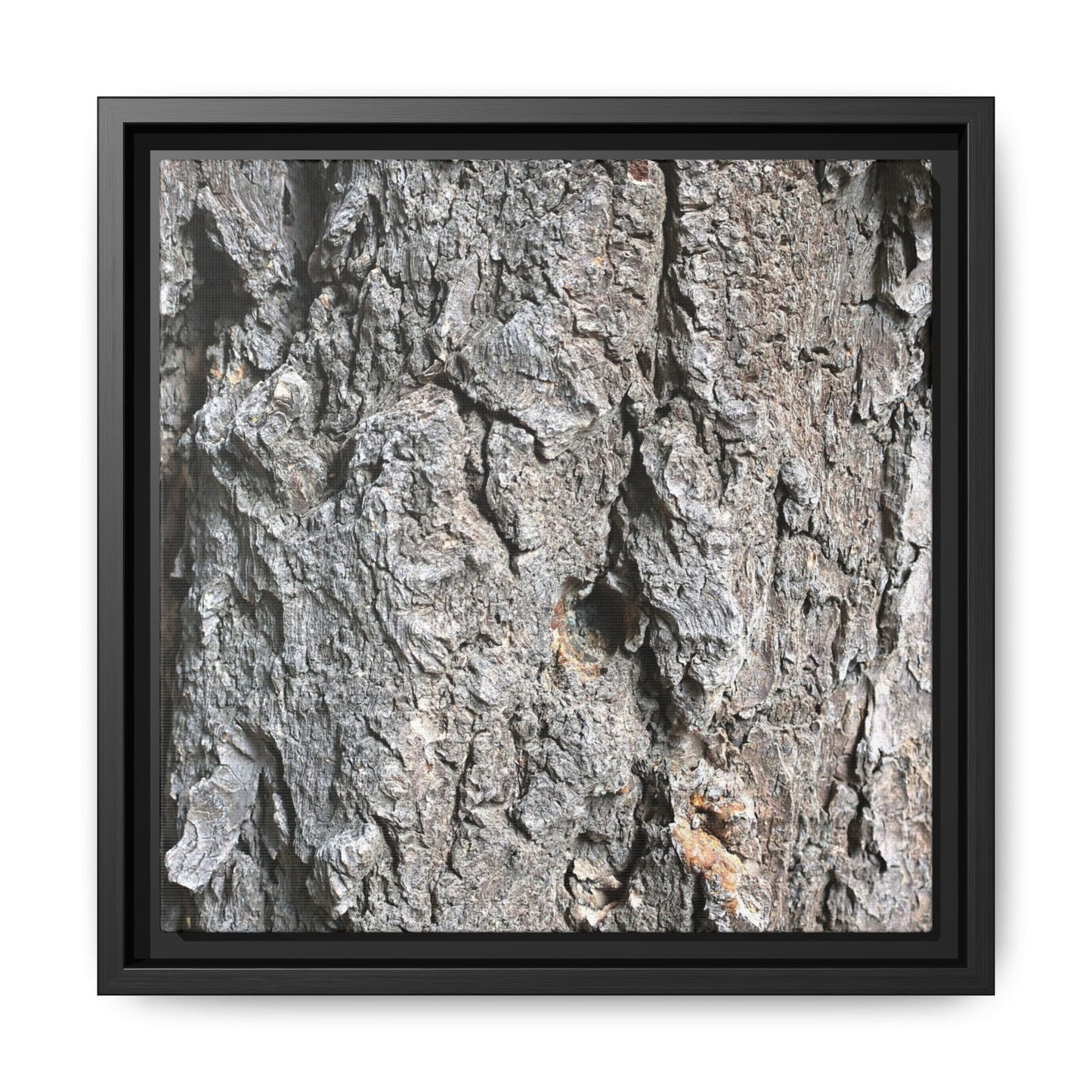 Crusty Exterior - Unique Stretched Canvas Wall Art - Art By Earth