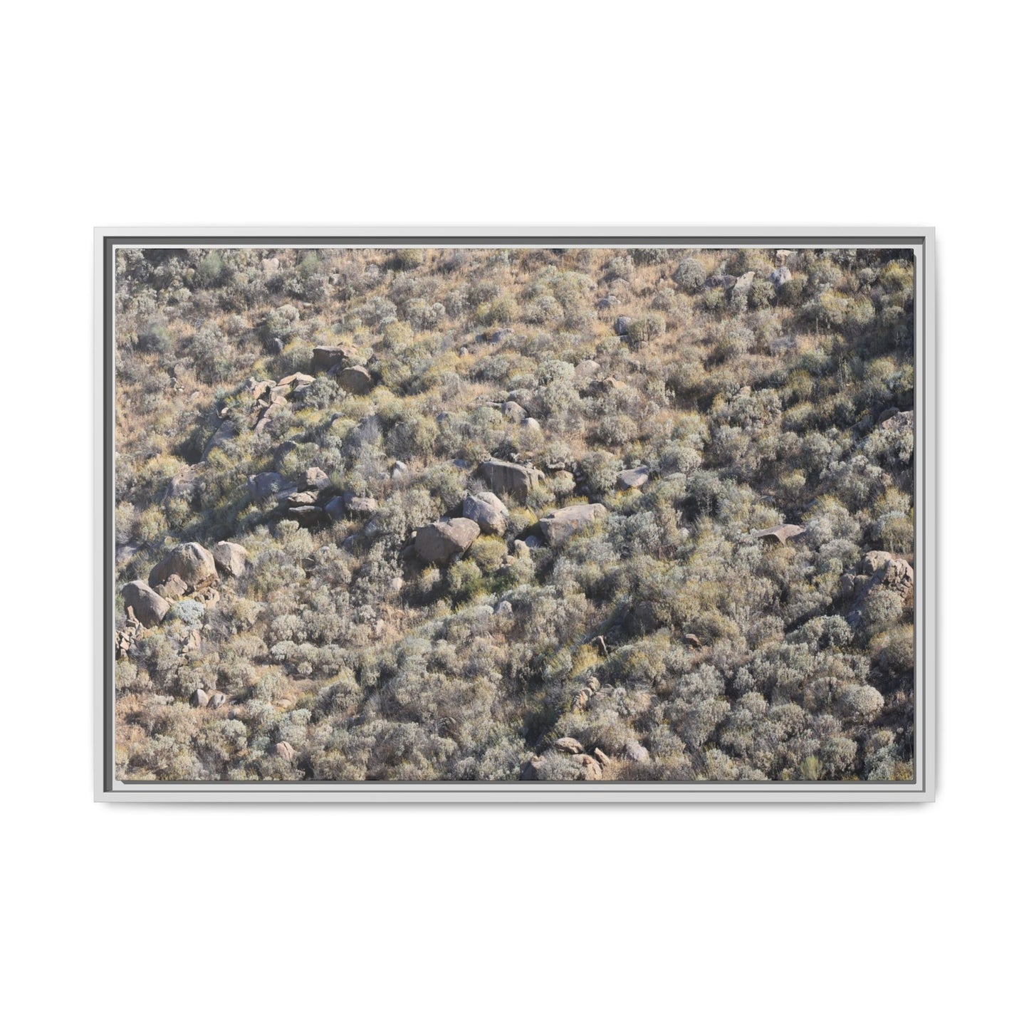 Arid Terrain Study - Unique Stretched Canvas Wall Art - Art By Earth