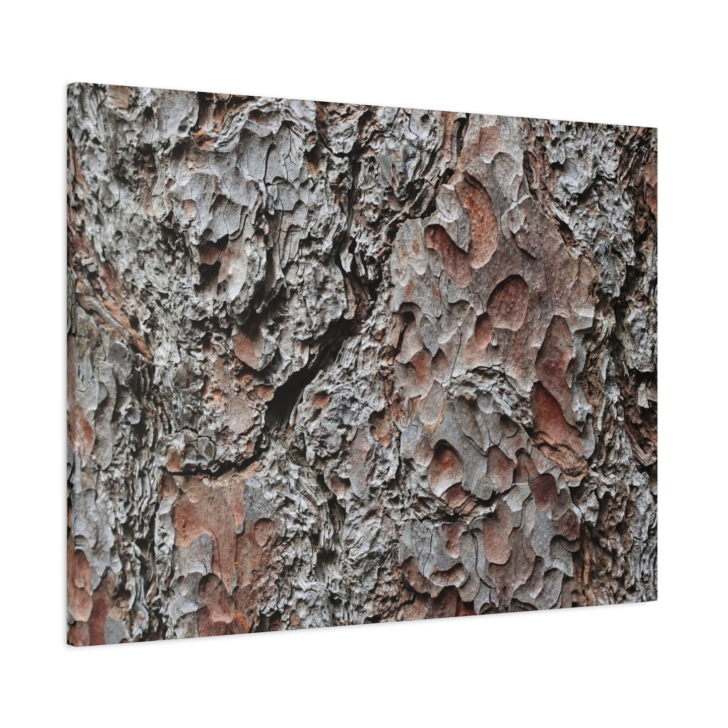 Textured Whispers of Bark - Unique Frameless Canvas Wall Art - Art By Earth