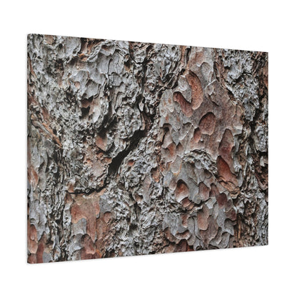 Textured Whispers of Bark - Unique Frameless Canvas Wall Art - Art By Earth