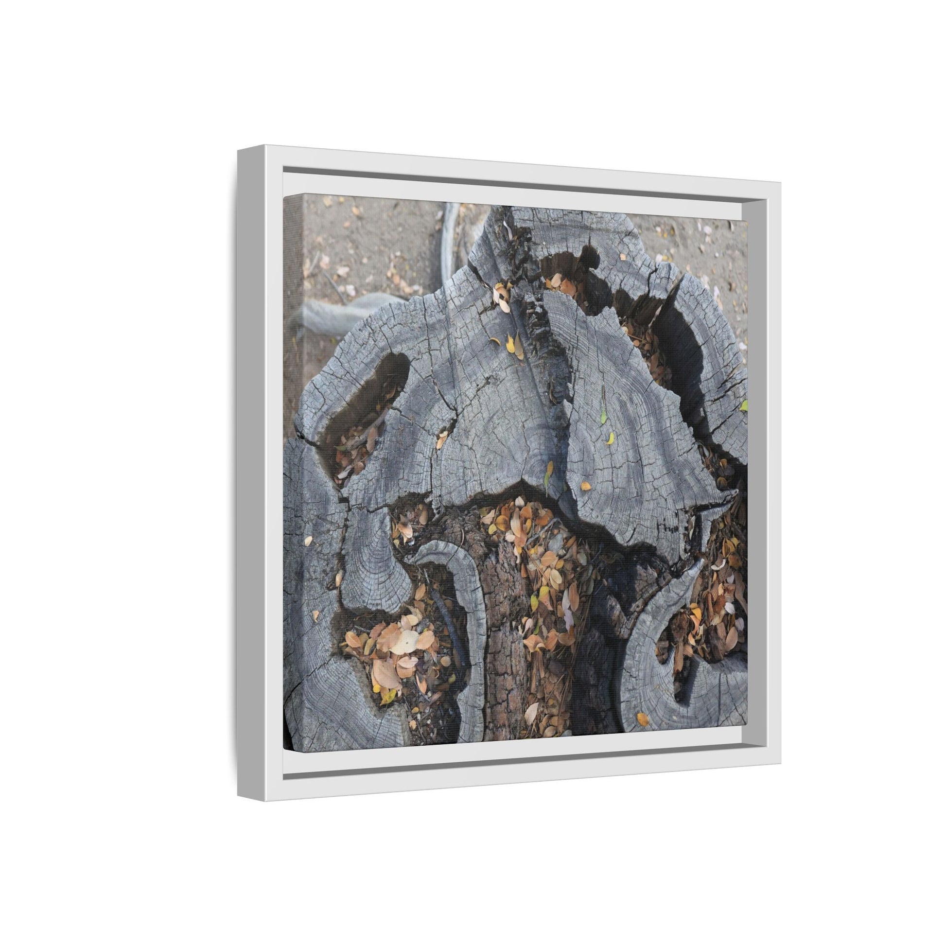 Time's Fractal Memory - Unique Stretched Canvas Wall Art - Art By Earth