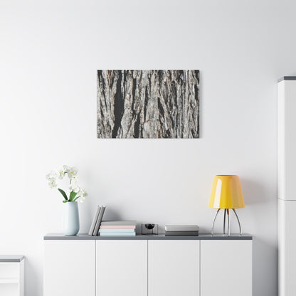 Bark Layers in Monochrome - Unique Frameless Canvas Wall Art - Art By Earth