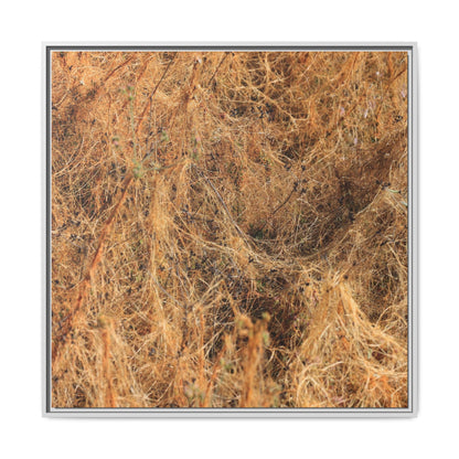Dried Vegetation Study - Unique Stretched Canvas Wall Art - Art By Earth