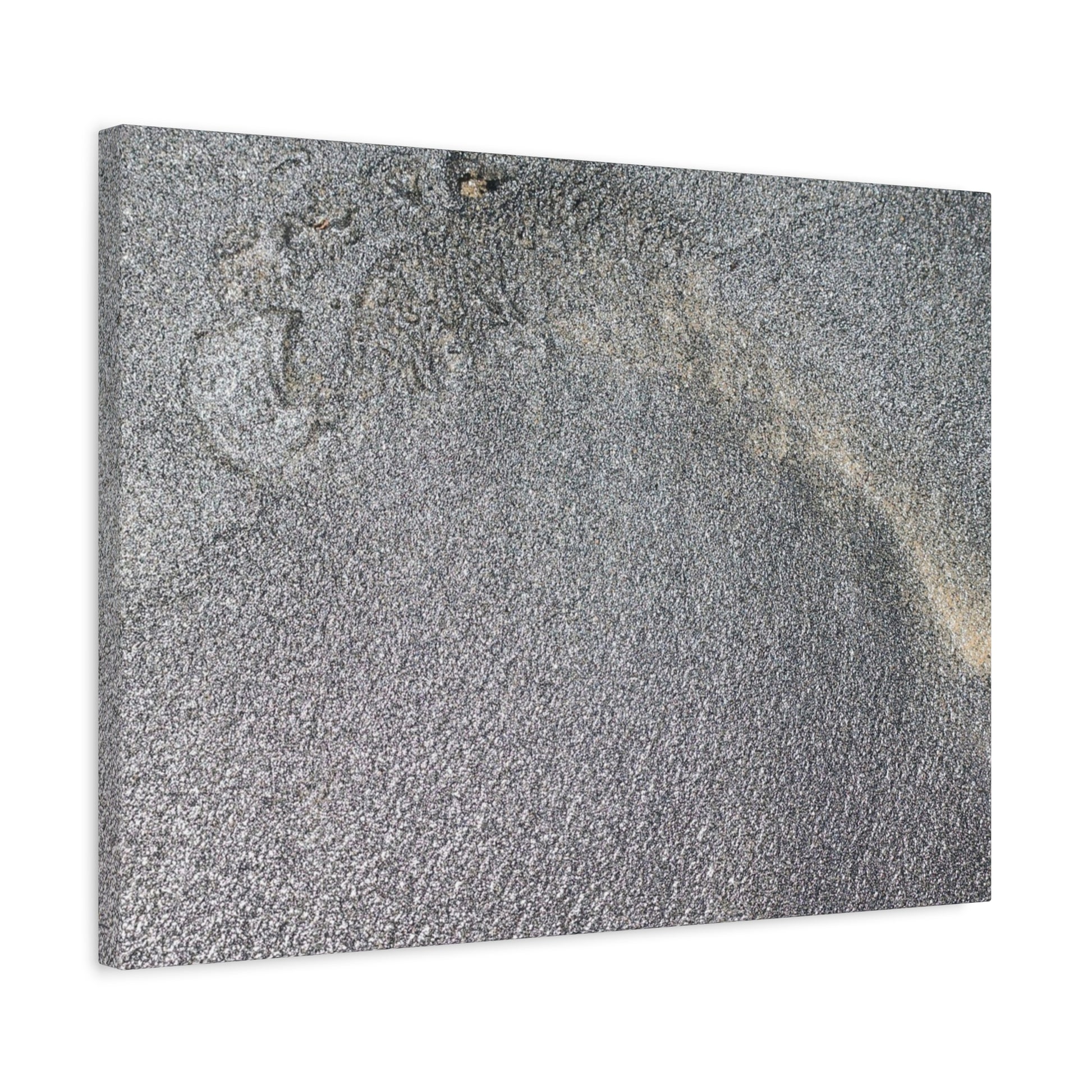 Ephemeral Whispers of Granite - Unique Frameless Canvas Wall Art - Art By Earth