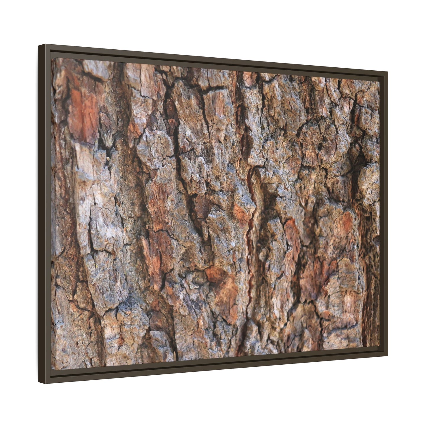 Tree's Timeworn Tale - Unique Stretched Canvas Wall Art - Art By Earth