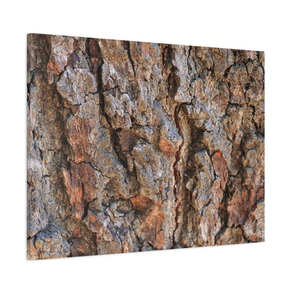 Roots of Time - Unique Frameless Canvas Wall Art - Art By Earth