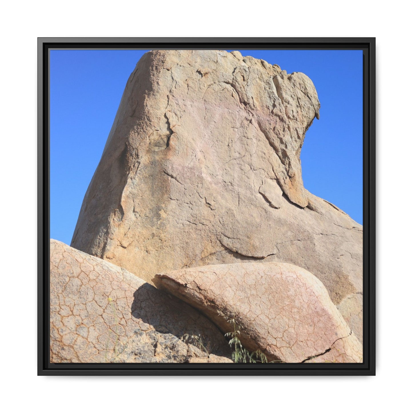Rocky Sentinel - Unique Stretched Canvas Wall Art - Art By Earth