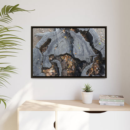 Time's Fractal Memory - Unique Stretched Canvas Wall Art - Art By Earth