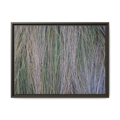 Whispers of Silver Grass - Unique Stretched Canvas Wall Art - Art By Earth