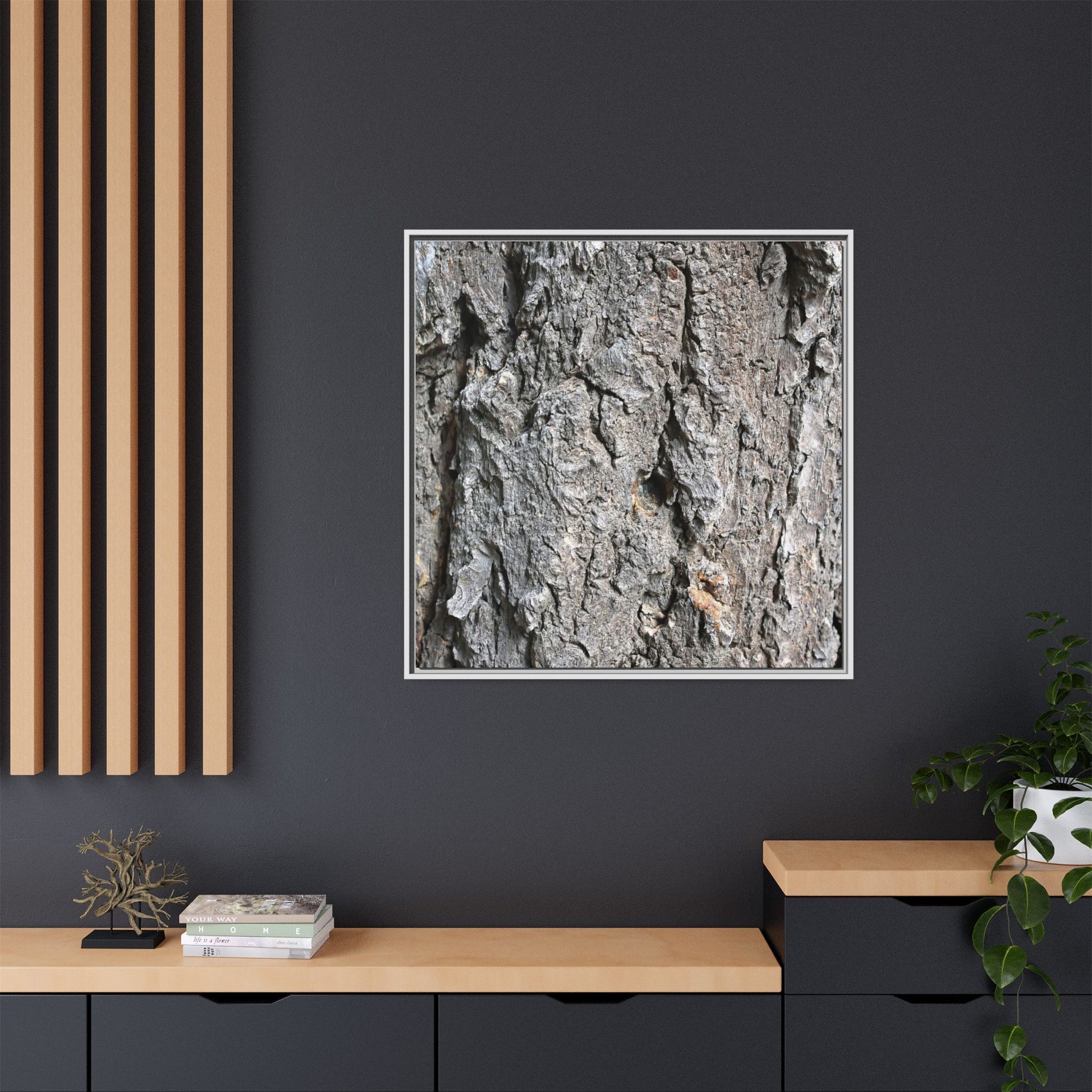 Crusty Exterior - Unique Stretched Canvas Wall Art - Art By Earth