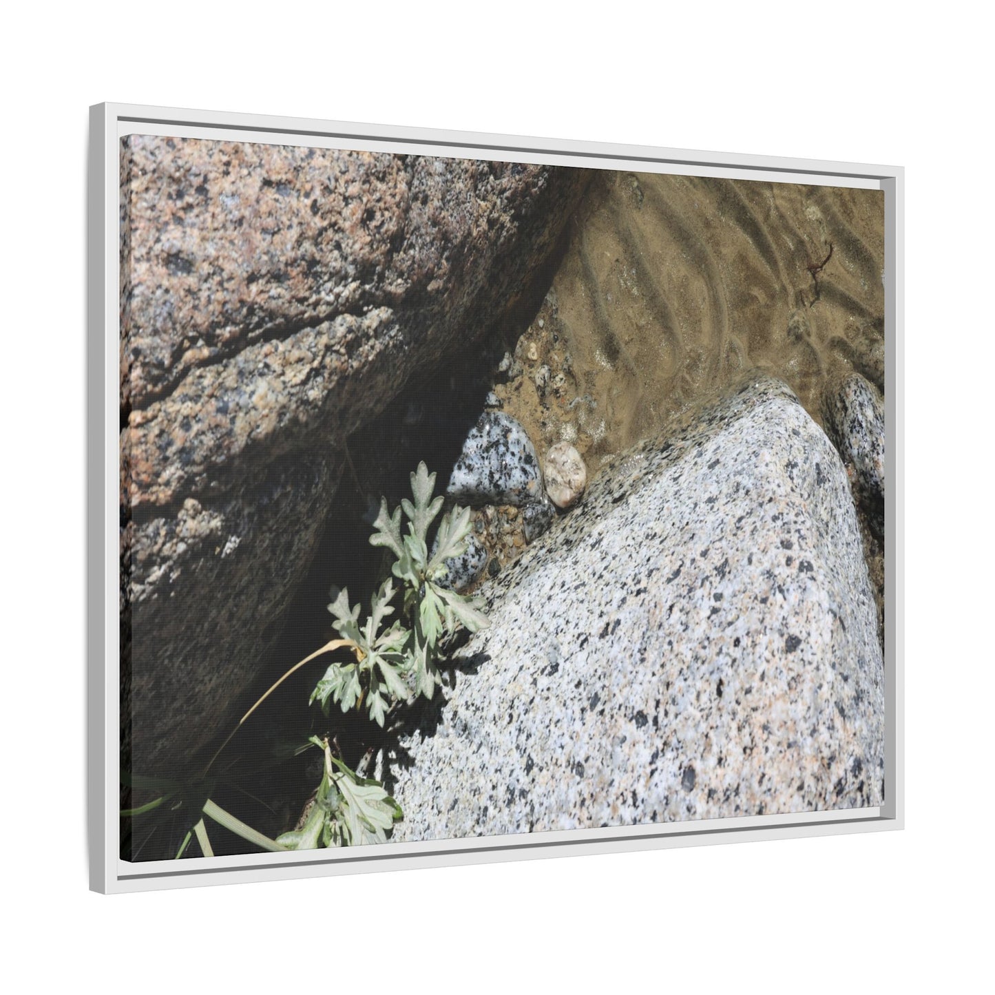 Resilience in Stone - Unique Stretched Canvas Wall Art - Art By Earth