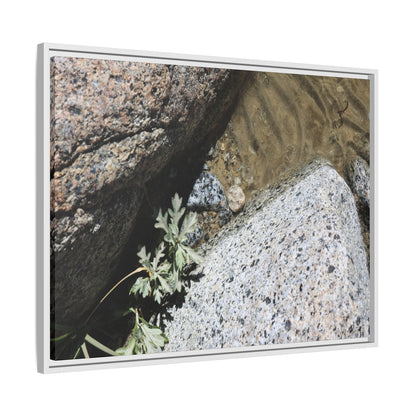 Resilience in Stone - Unique Stretched Canvas Wall Art - Art By Earth