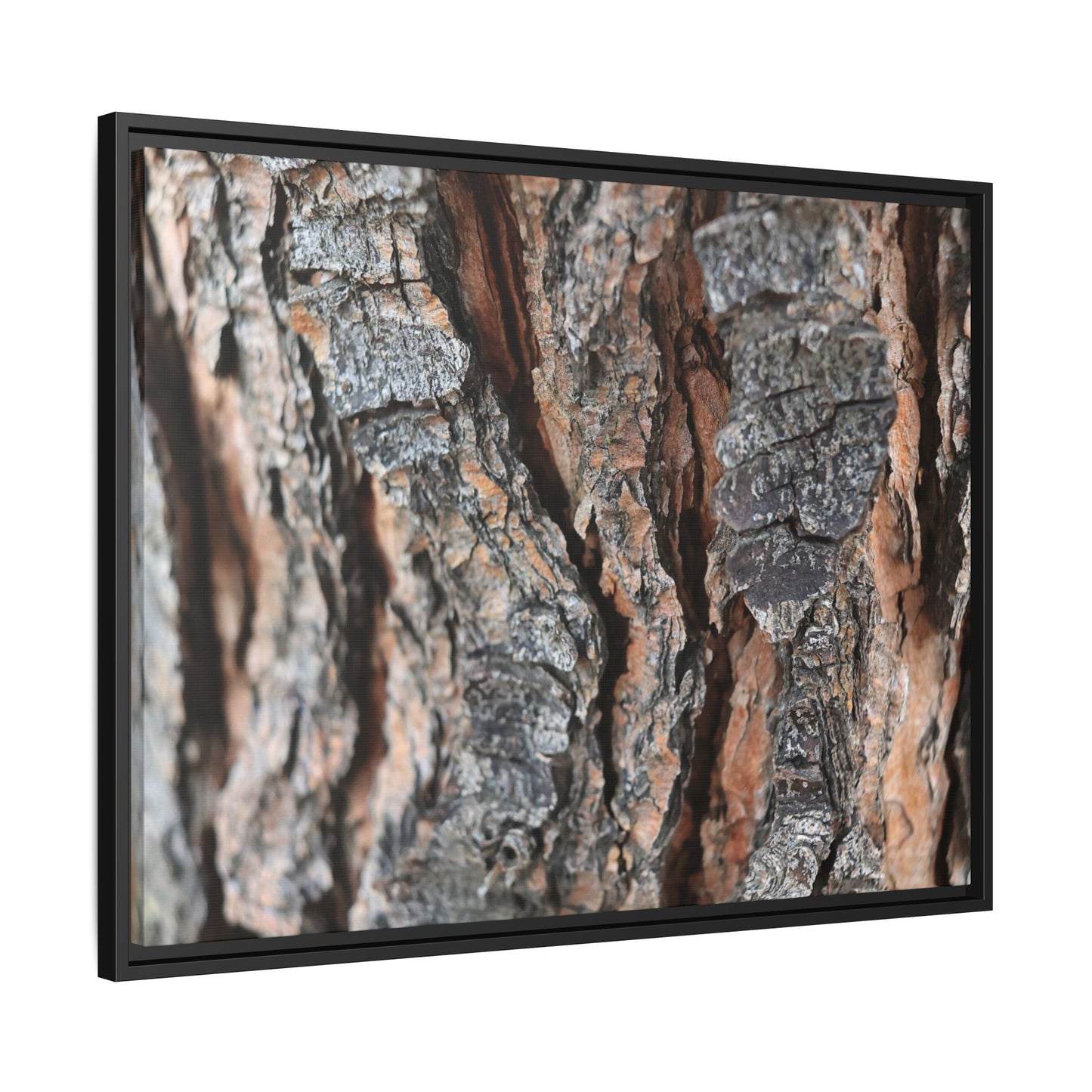 Fractured Nature - Unique Stretched Canvas Wall Art - Art By Earth