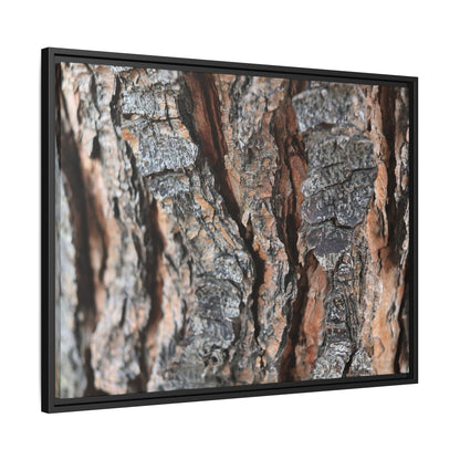 Fractured Nature - Unique Stretched Canvas Wall Art - Art By Earth