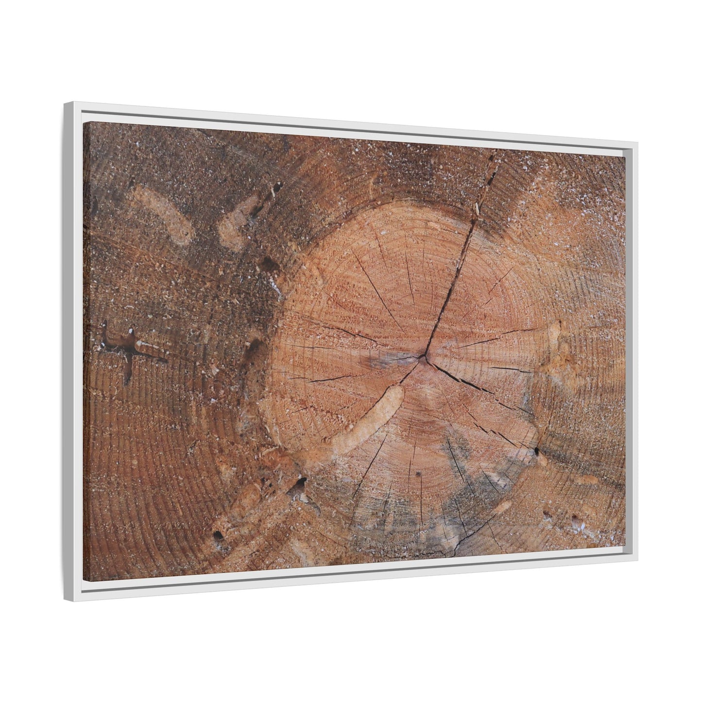 Concentric Memories - Unique Stretched Canvas Wall Art - Art By Earth