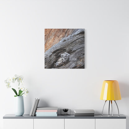 Tree Bark Texture - Unique Frameless Canvas Wall Art - Art By Earth