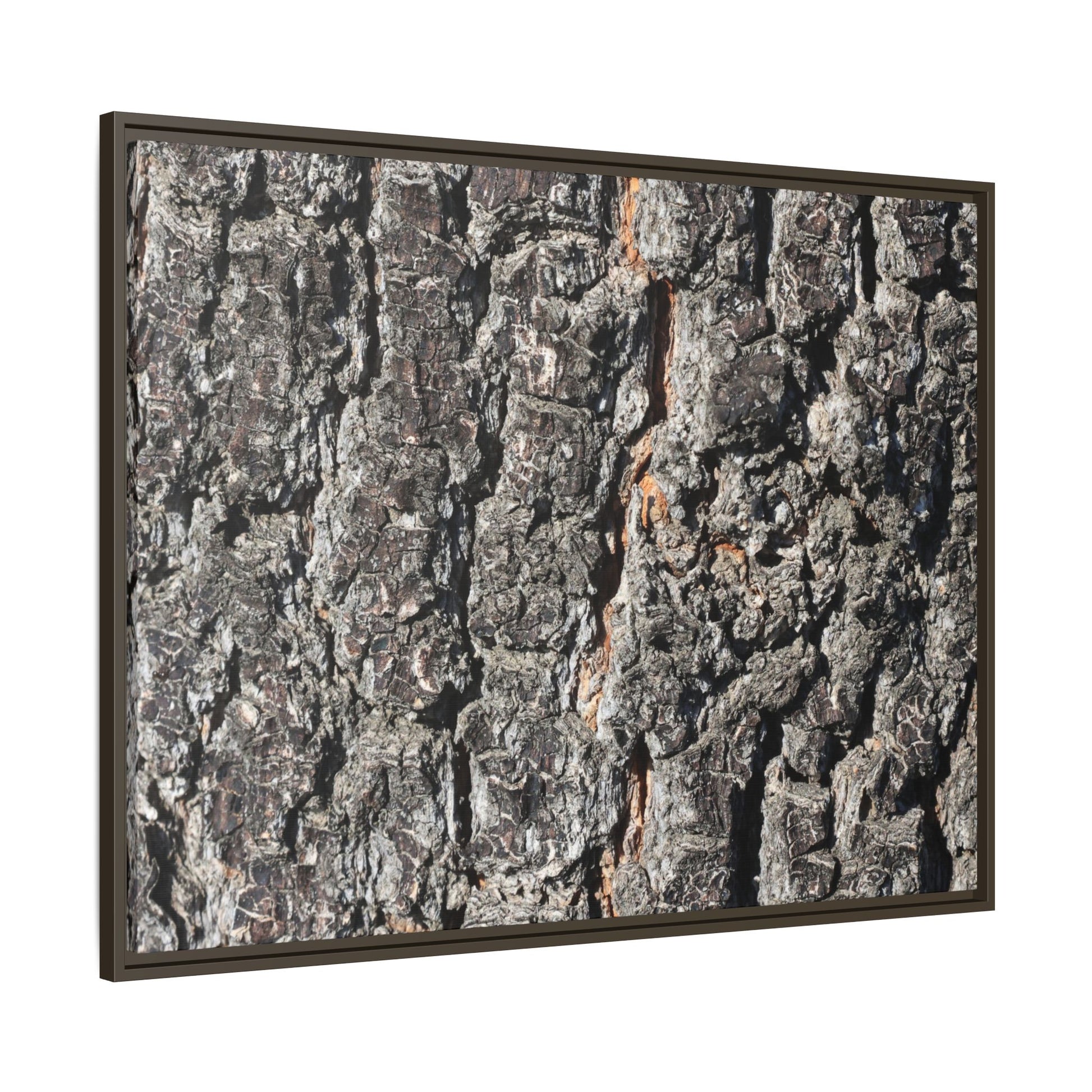 Aged Beauty - Unique Stretched Canvas Wall Art - Art By Earth