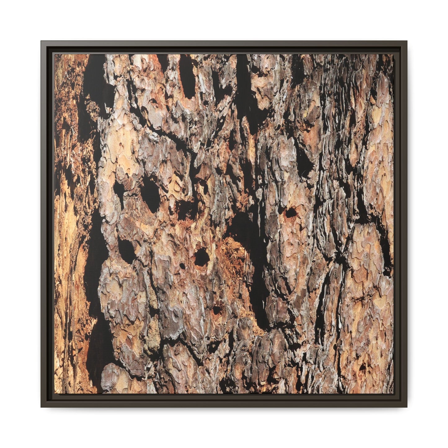 Rugged Rhythms - Unique Stretched Canvas Wall Art - Art By Earth