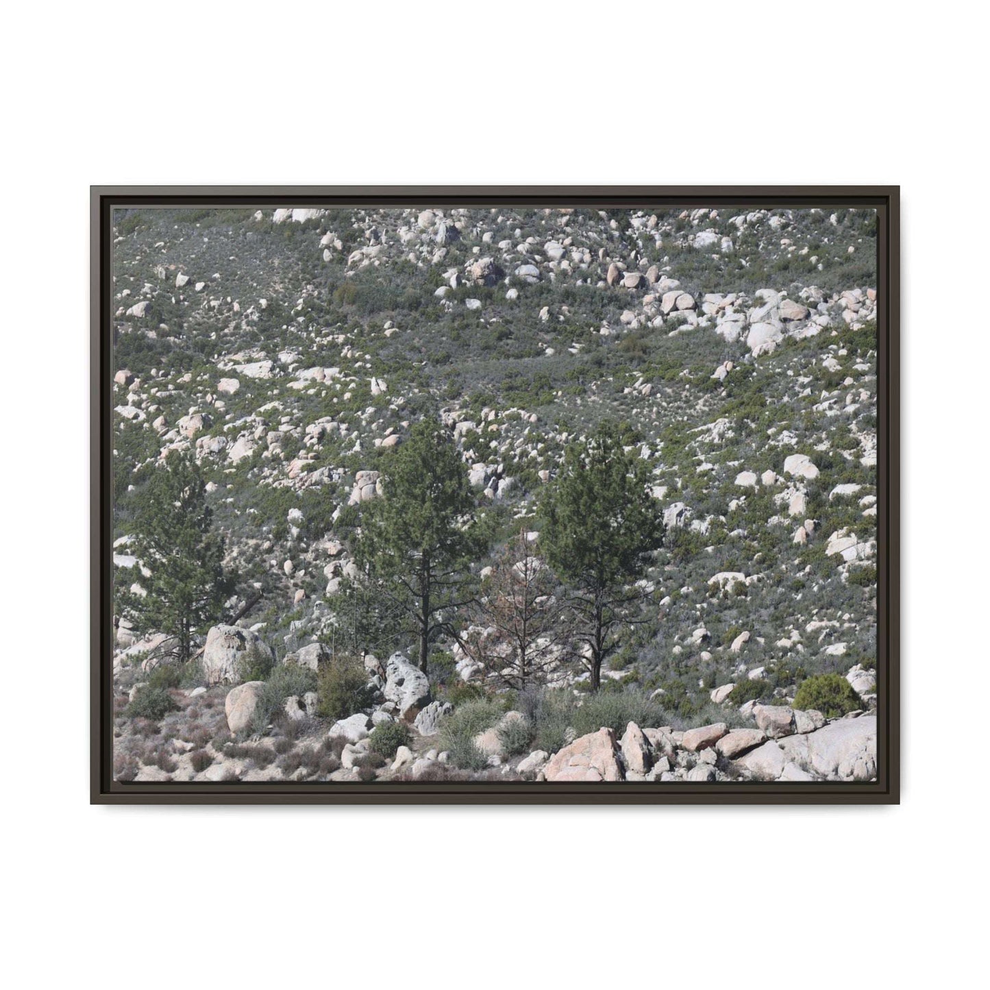 Rocky Hillside with Pine Trees - Unique Stretched Canvas Wall Art - Art By Earth