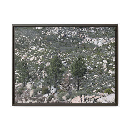 Rocky Hillside with Pine Trees - Unique Stretched Canvas Wall Art - Art By Earth