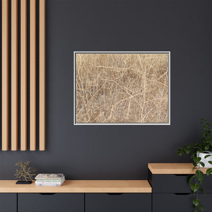 Golden Stalks - Unique Stretched Canvas Wall Art - Art By Earth